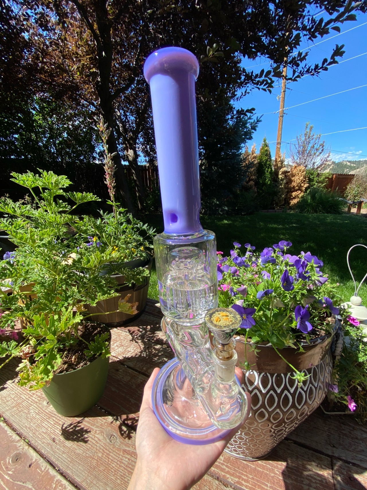 restingbluntface:love my yard 