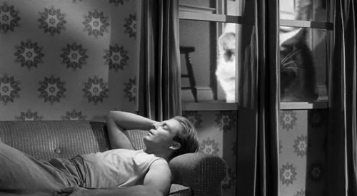 slobbering:The Incredible Shrinking Man (1957)