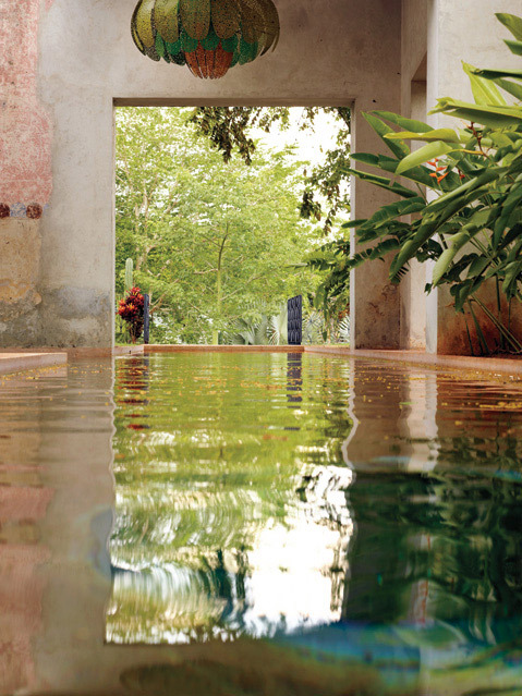 breezefromlotus:  outdoorlifestyle:   The jungle reflected in one of Tecoh’s lap pools.  Photography