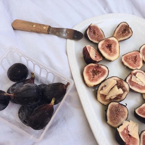 softcherri:cherry