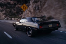 itstylerthegreat96:  utwo:  CUDA HEMI© SpeedKore