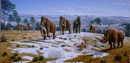 rhamphotheca:Pleistocene Epoch: Facts About the Last Ice Ageby Kim Ann ZimmermannThe Pleistocene Epo