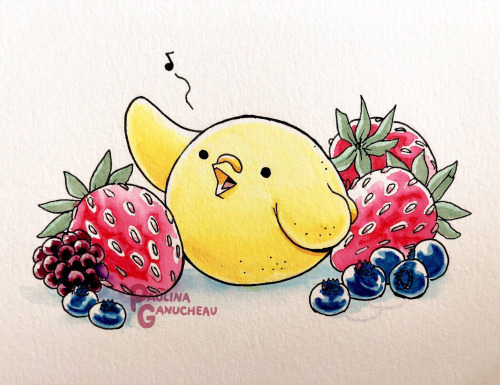 Lemon Bird and berries