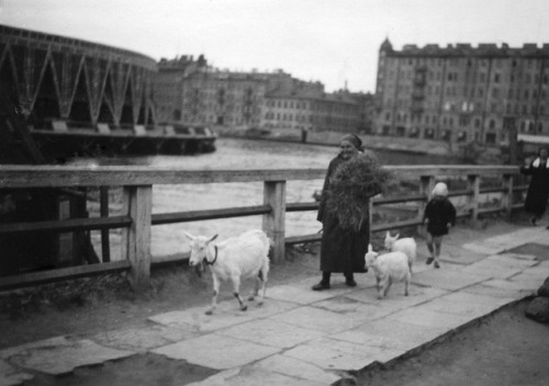 Just a woman walking her goats in Leningrad in 1920s. 