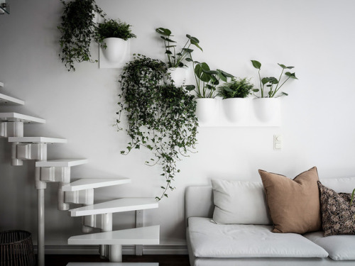 XXX gravityhome:  Scandinavian loft apartmentFollow photo