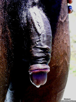 blackboys4wg:  blackboys4wg.tumblr.com  Drip drop