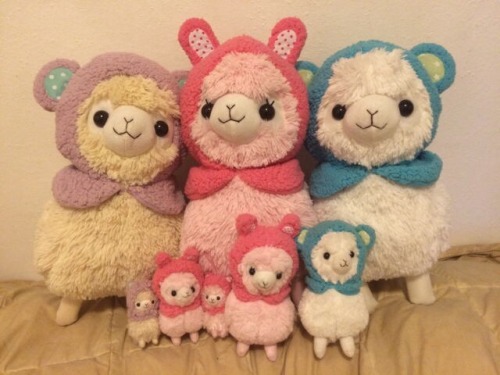 Edit: ALL SOLD p&gt;Alpacasso Sale!!!! So I was just offered a job across country and I will be mov