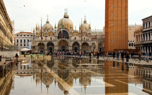 Sex the-memory-palace:  St. Mark’s Basilica pictures