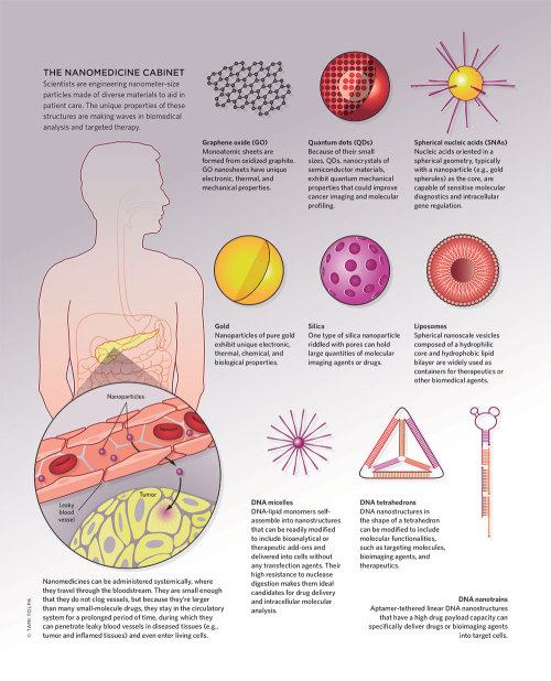 s-c-i-guy:  Nanomedicine  In a 1959 lecture at Caltech famously dubbed “There’s Plenty of Room at the Bottom,” American physicist and Nobel laureate–to-be Richard Feynman discussed the idea of manipulating structures at the atomic level. Although