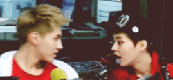 beommiebear:  Idiots… 