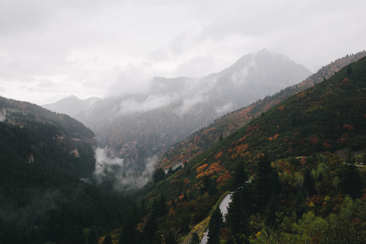 imbradenolsen:  fall fog in the mountains 