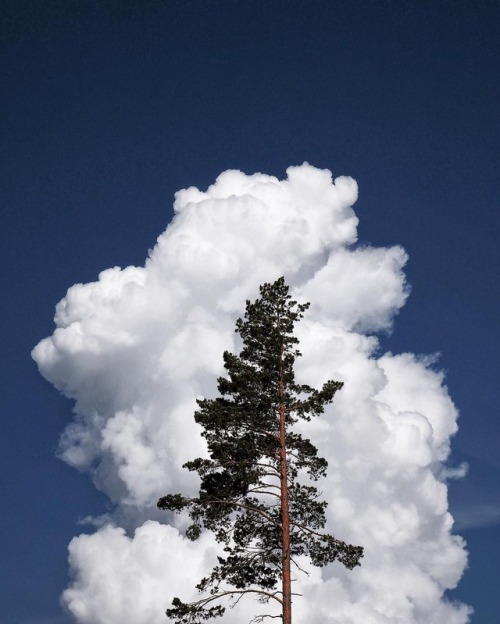 crossconnectmag:  Photography by Sandra Linnell Sandra Linnell is a 36 years old self-taught photographer, based in Stockholm, Sweden. She shoots a lot of nature and lifestyle photography using an Olympus OMD EM-10 and is an ambassador of the brand. 