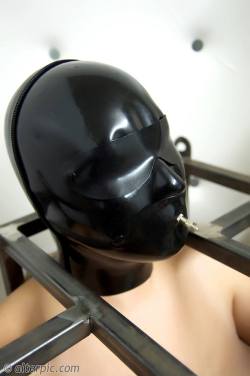kinkythingsilike:  There is something wildly dehumanizing about this hood. object craves to have everything controlled and locked up. The gag that is in this object’s mouth has always fascinated object, because it is adjustable in tightness and enlarged