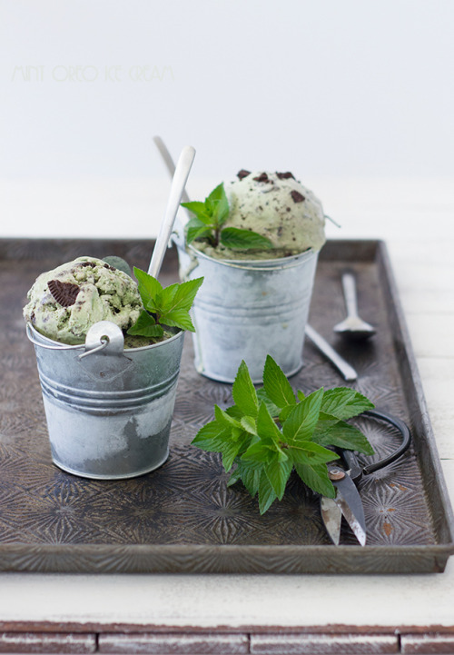 do-not-touch-my-food:  Mint Oreo Ice Cream porn pictures