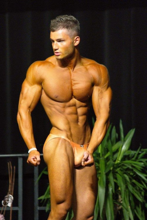 XXX lowblow2myspeedo:  Hot bodybuilder Nico Angelo- photo