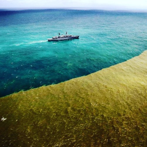 brazilwonders:  Do lado esquerdo, o mar límpido cheio de vida, do direito, a lama tóxica que chega a