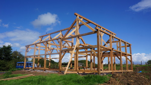 A larch and douglas fir Barn built for the Wildings community farm in Pensford south of Bristol.