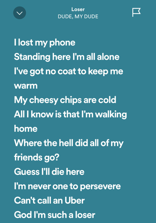LMAOOOOO THIS SONG IS ABOUT GORDON GOOSE