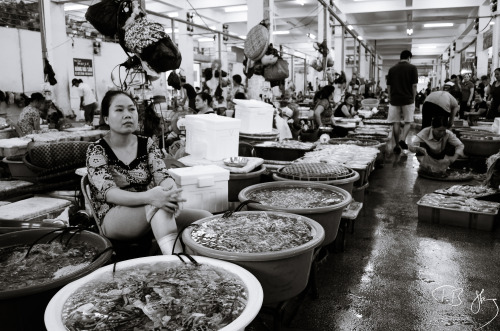 a fish market in Vietnam 