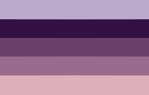 [flag ID: Left Flag Has Wiggly Stripes. Lilac, Dark Purple, Warm Purple, Light Warm Purple, Pale Coral-tan.