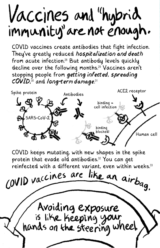 COVID zine page 7  [Bold, handwritten text] Vaccines and "hybrid immunity" are not enough.  COVID vaccines create antibodies that fight infection. They've greatly reduced hospitalization and death from acute infection. But antibody levels quickly decline over the following months. Vaccines aren't stopping people from getting infected, spreading COVID, and long-term damage  [diagram of SARS-CoV-2 infection. The virus is covered in spike proteins, and there are circulating antibodies, some of which bind to the spike proteins. There's a human cell covered in ACE2 receptors. When a spike protein binds to an ACE2 receptor, that's cell infection. When an antibody binds to the spike protein, it can't infect!]  COVID keeps mutating, with new shapes in the spike protein that evade old antibodies. You can get reinfected with a different variant, even in weeks.  [Bold, handwritten text] COVID vaccines are like an airbag. Avoiding exposure is like keeping your hands on the steering wheel.