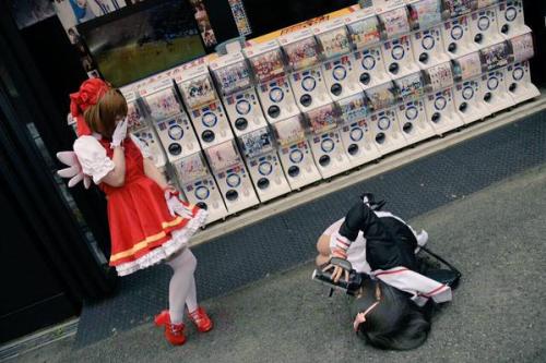 cvsturd: lolinfamous:Accurate cosplay of Sakura Kinomoto and Tomoyo Daidouji.Source pudgygoddessWHY 