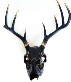 Oolasha:  Black Gold Leaf Deer Skull Wall Decor Art Ooak 