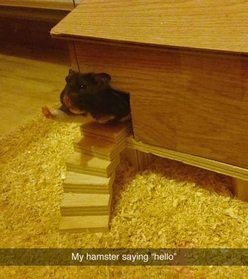 funny-gif-1:  Other Funny Gİfs http://funny-gif-1.tumblr.com/