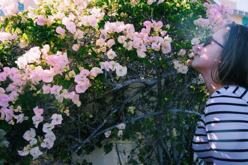 friends &amp; flowers