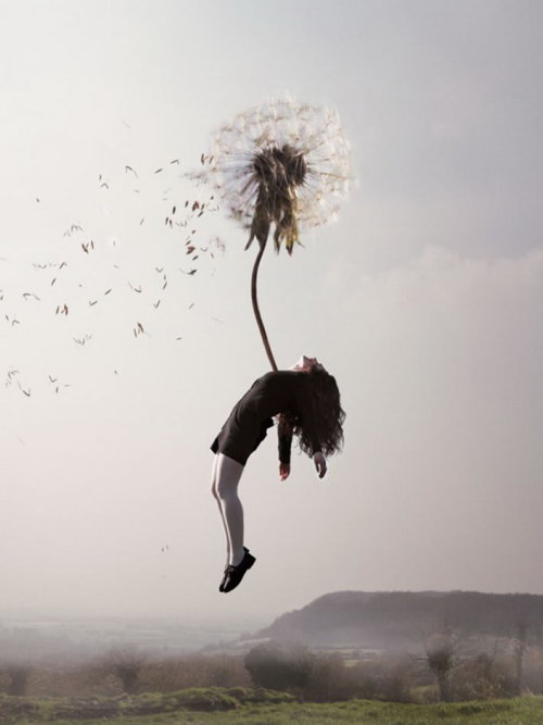 maia flore