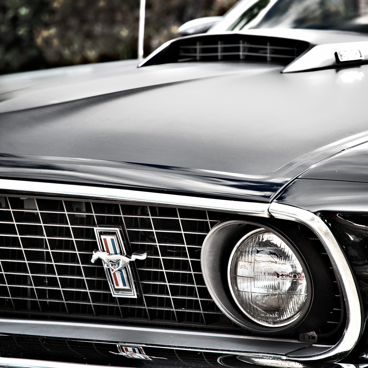 musclecarinstant:  big horse