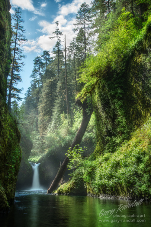 silvaris:Peace in The Canyon by Gary Randall