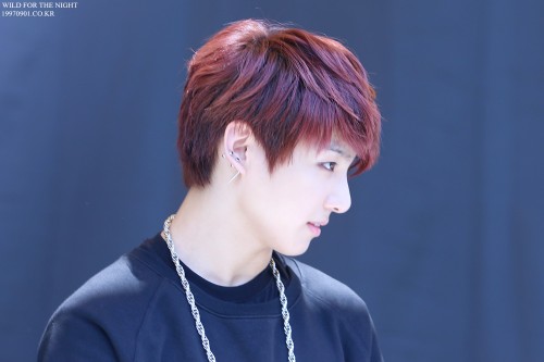  WILD FOR THE NIGHT | Do Not Edit.