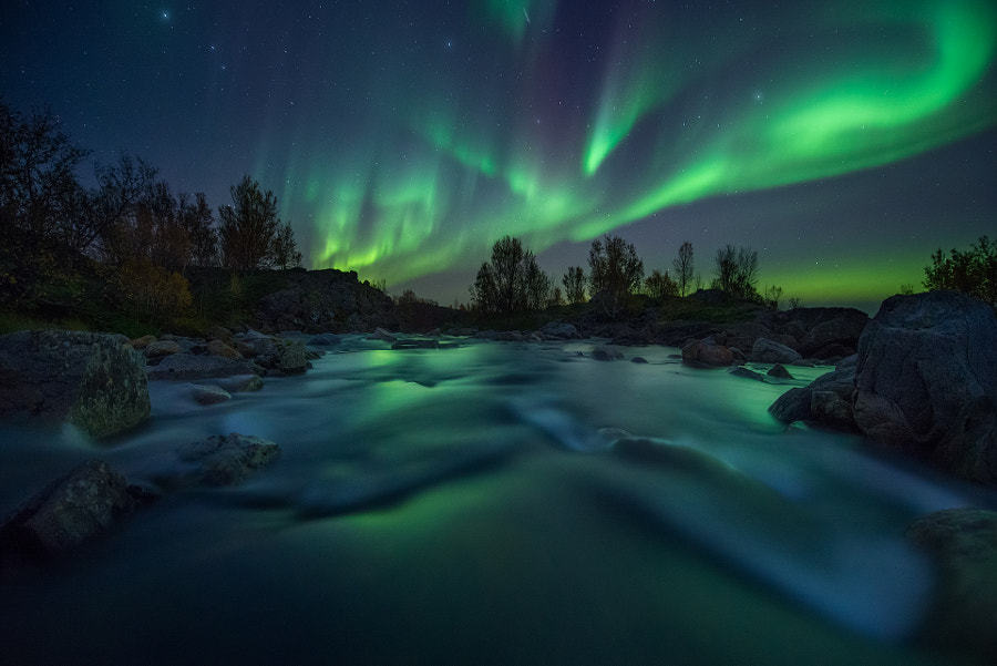 te5seract:  Night of the Lights &amp; #9 Lilypond Lightshow by  Arild Heitmann