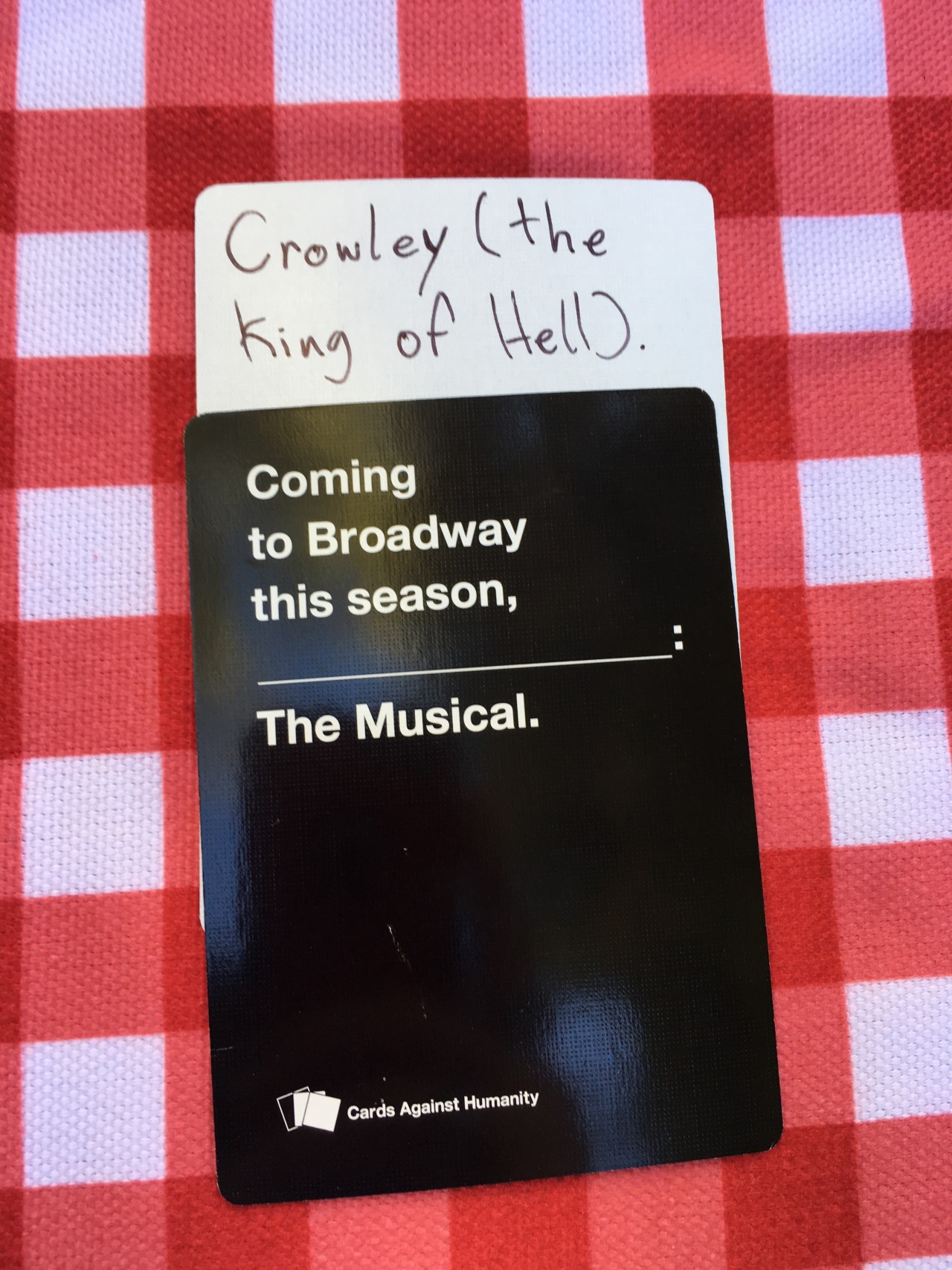 jack-the-lion:  Best answers from the CAH game from my furmeet (2/4).