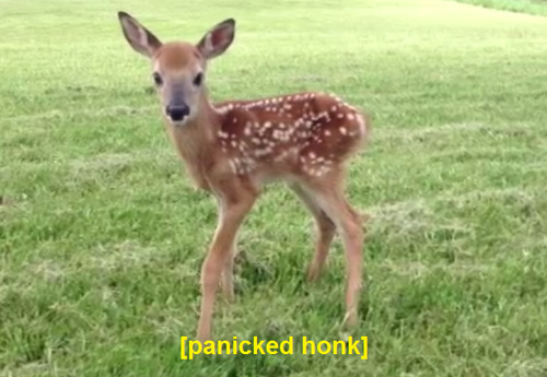 17yr:adults: “what are your plans for the summer?” “what are you planning on studying in college?” “what do you want to do in the future?” me: 