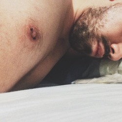 nipplepigs.tumblr.com post 150067534305