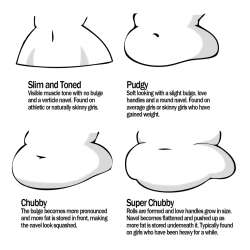 artist-refs:Female Tummy Reference Sheet