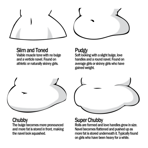 XXX artist-refs:Female Tummy Reference Sheet photo