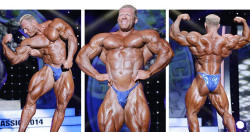 Brawnsgym:  2014 Arnold Sports Festival: Dennis Wolf Wins Arnold Classic  The Classic