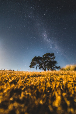 drxgonfly:  Earth Sky (by Paul Wilson) 