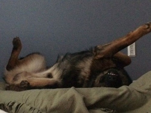 How I Be When Getting Up In The Mornin' 