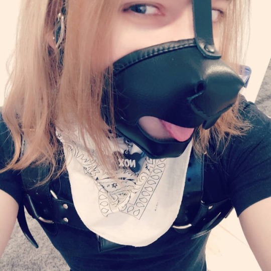 Sex shylittlepuppy: Wassup homepeoples?  pictures