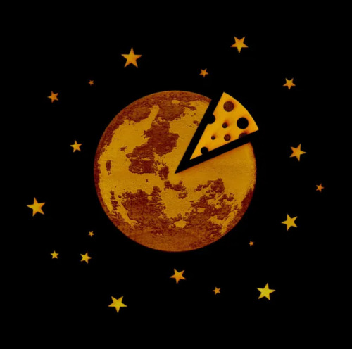 { WALLTER DAILY ; DAY 8 }