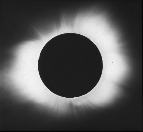 retrofutureground: Yerkes Observatory, 1918 Solar Eclipse Expedition. 1. “Heliosaurus” p