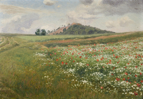 catonhottinroof: František Kaván (1866 - 1941)   Fields with Wild Poppies 
