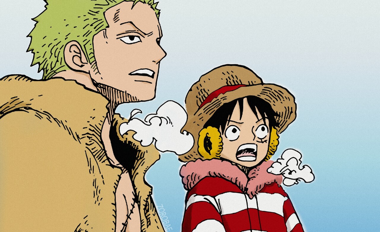 Zoro Understands Luffy