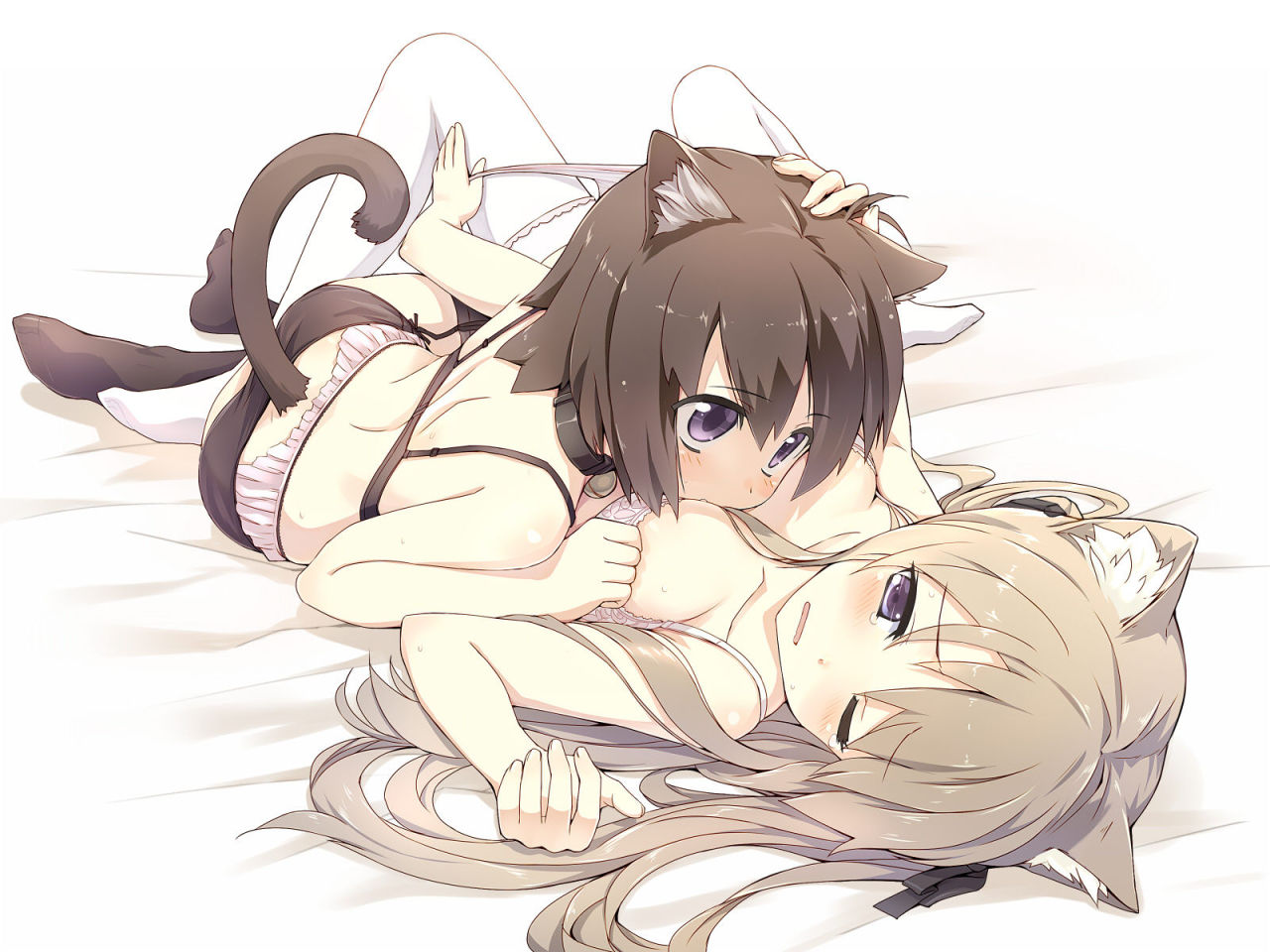 nekodata:  Neko Facebook Fanbase - Join for more Nekomimi girls: https://www.facebook.com/groups/nekodatabase/