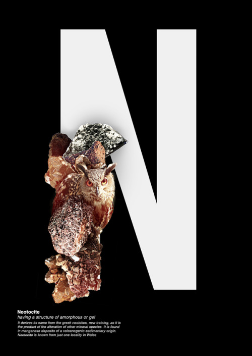 designcloud: Natural History Project