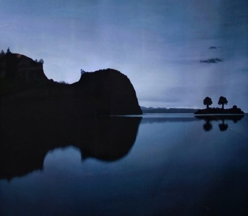 feeend:  Violin Island. Singapore 